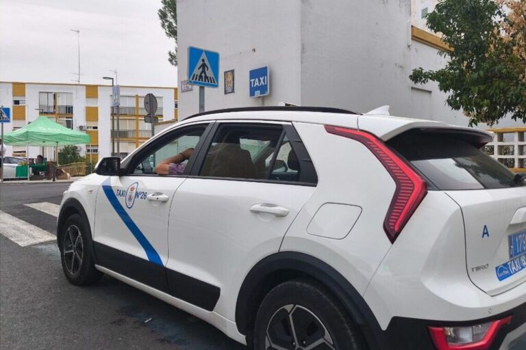 aprobadas-las-bases-y-convocatoria-de-la-prueba-para-obtener-el-certificado-de-aptitud-del-taxi